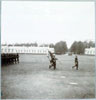 Военный смотр во дворе Екатерининского дворца