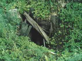 Одна из шахт минной галереи в первозданном виде (не укреплённая бетоном)