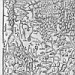 Часть карты Московия. Себасьян Мюнстер 1559 г. Базель по материалам Антония Вита и Ивана Ляцкого Гданьск Гравюра на дереве.